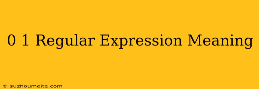 (0+1)* Regular Expression Meaning