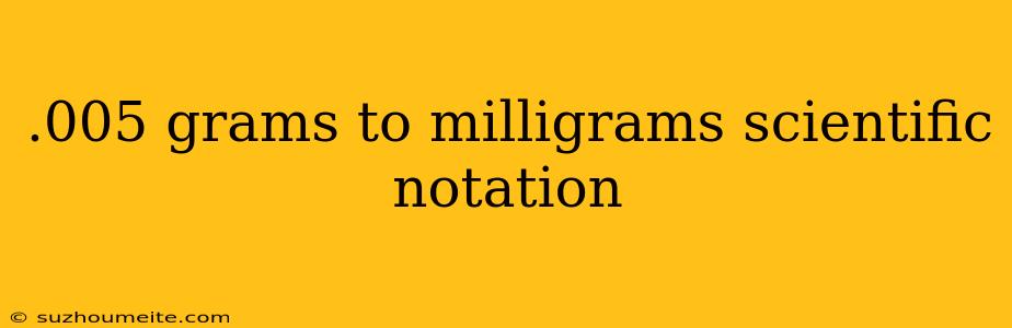 .005 Grams To Milligrams Scientific Notation