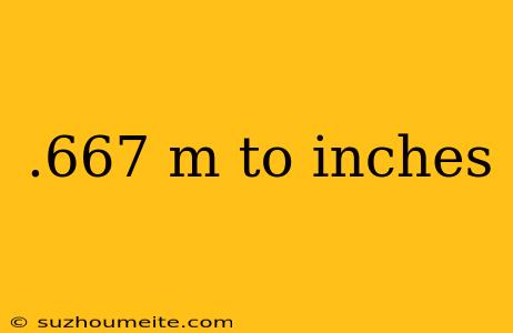 .667 M To Inches