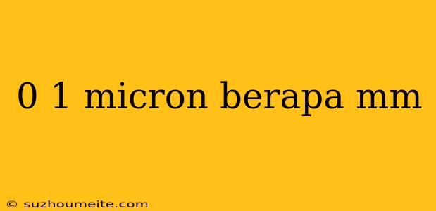 0 1 Micron Berapa Mm