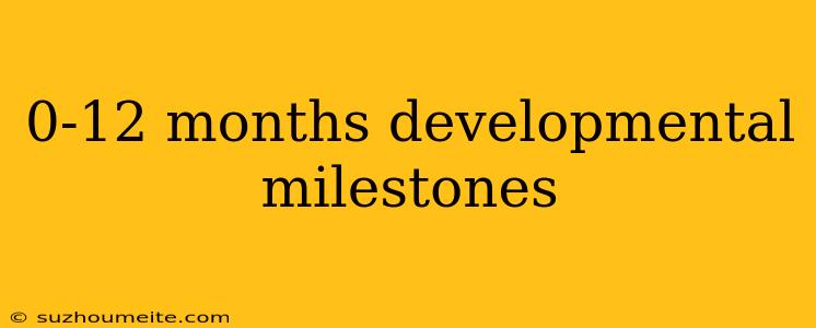 0-12 Months Developmental Milestones