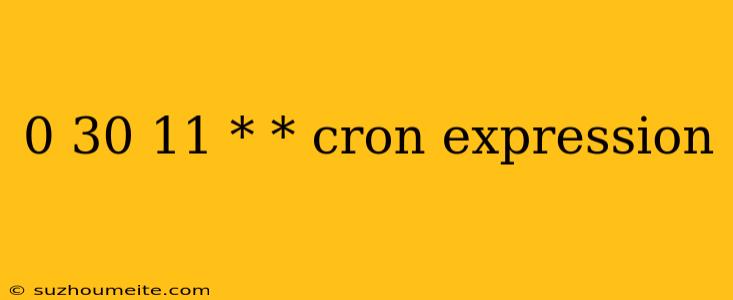 0 30 11 * * Cron Expression