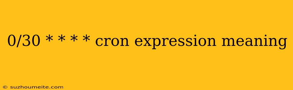 0/30 * * * * Cron Expression Meaning