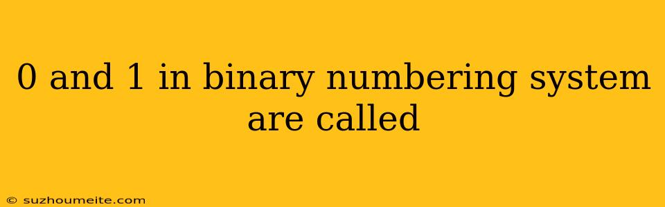 0 And 1 In Binary Numbering System Are Called