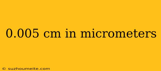 0.005 Cm In Micrometers