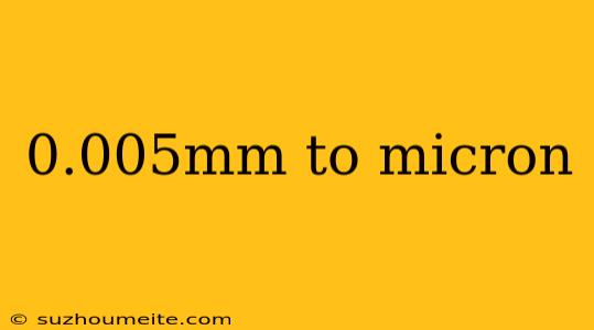 0.005mm To Micron