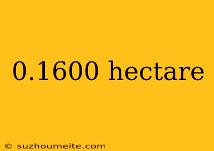 0.1600 Hectare