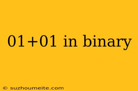 01+01 In Binary