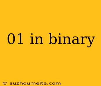 01 In Binary