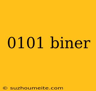 0101 Biner