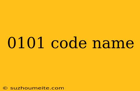 0101 Code Name