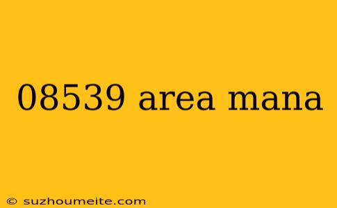 08539 Area Mana