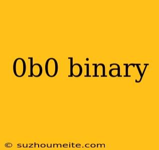 0b0 Binary