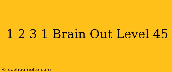 1+2+3+1 Brain Out Level 45