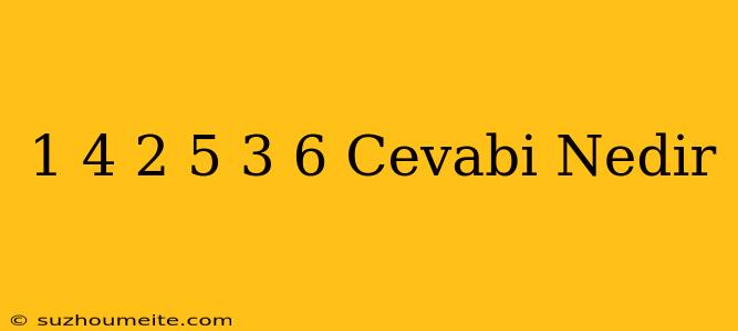 1+4 2+5 3+6 Cevabı Nedir