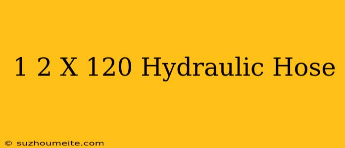 1/2 X 120 Hydraulic Hose