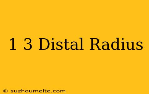 1/3 Distal Radius