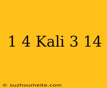 1/4 Kali 3 14