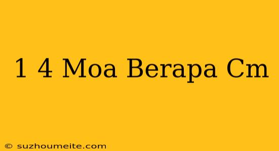 1/4 Moa Berapa Cm