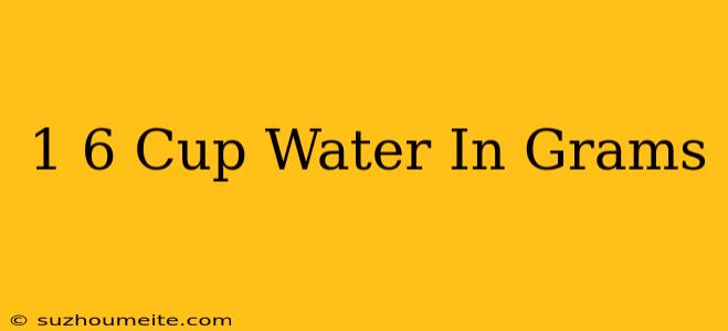 1/6 Cup Water In Grams