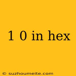 1 0 In Hex