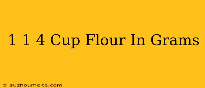 1 1/4 Cup Flour In Grams