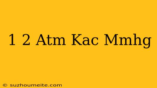 1 2 Atm Kaç Mmhg