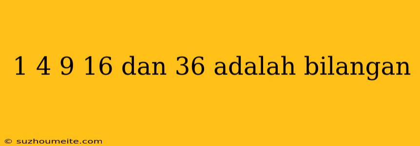 1 4 9 16 Dan 36 Adalah Bilangan