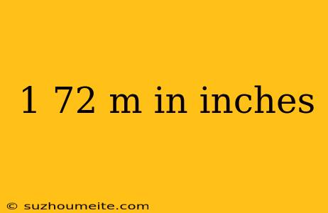 1 72 M In Inches