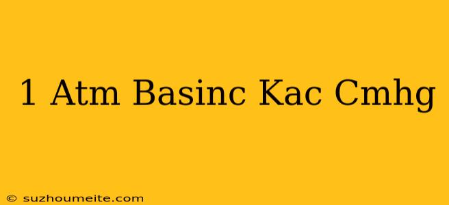 1 Atm Basınç Kaç Cmhg