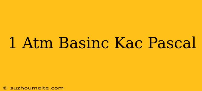 1 Atm Basınç Kaç Pascal