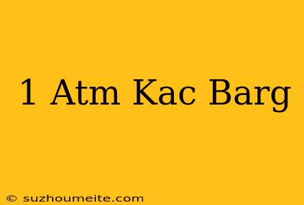 1 Atm Kaç Barg