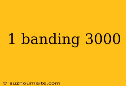 1 Banding 3000