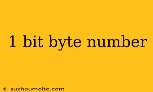 1 Bit Byte Number