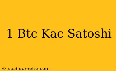 1 Btc Kaç Satoshi