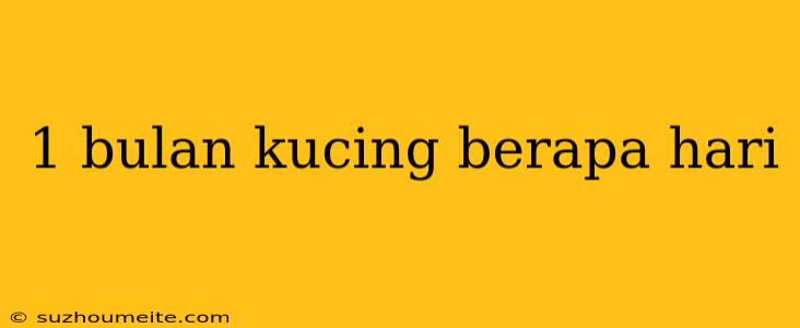 1 Bulan Kucing Berapa Hari