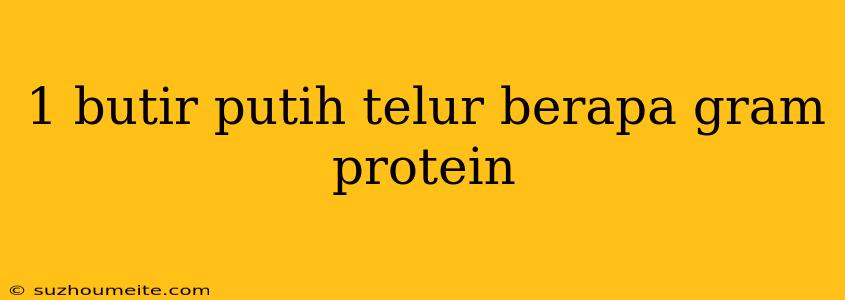 1 Butir Putih Telur Berapa Gram Protein