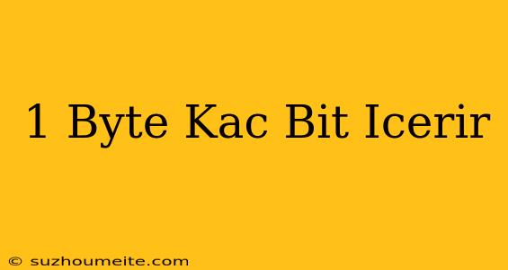 1 Byte Kaç Bit Içerir