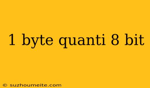 1 Byte Quanti 8 Bit