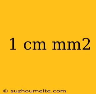 1 Cm Mm2