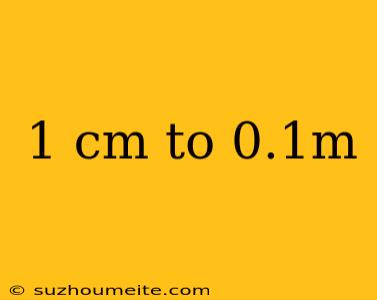 1 Cm To 0.1m