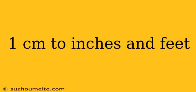 1 Cm To Inches And Feet