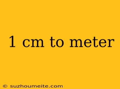 1 Cm To Meter