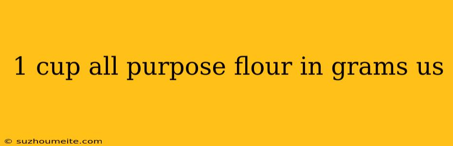 1 Cup All Purpose Flour In Grams Us