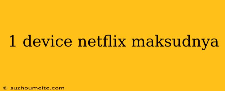 1 Device Netflix Maksudnya