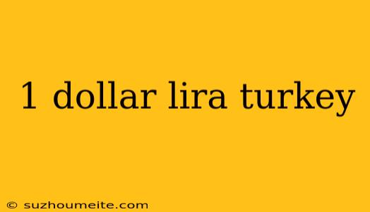 1 Dollar Lira Turkey