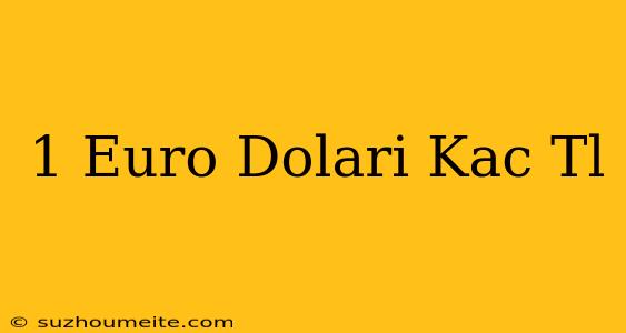 1 Euro Doları Kaç Tl