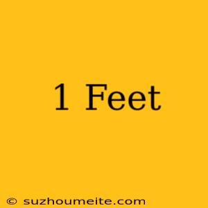 1 Feet =