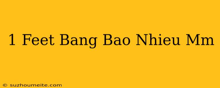 1 Feet Bằng Bao Nhiêu Mm