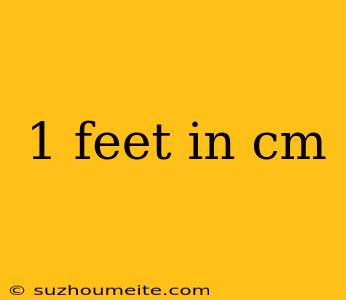 1 Feet In Cm